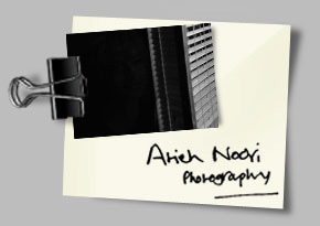 Atieh Noori Official Website